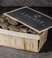Maison Legris - Huîtres plates TRALEE TG x48