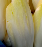 Ferme Joos - Endive - 500g