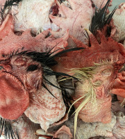 Des Poules et des Vignes à Bourgueil - Têtes de coq (x20)