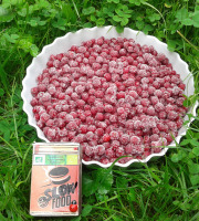 LES JARDINS DE KARINE - Groseilles rouges surgelées - 500g