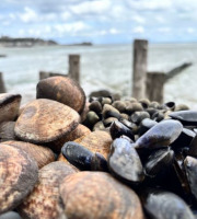 Saint Kerber - Cancale - Mix de la mer 3kgs - Moules AOP/Amandes/Bigorneaux
