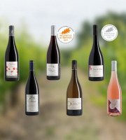 Domaine de la Chopinière du Roy - Coffret cadeau découverte des vins de Loire "Les 6 vins de Loire du Domaine" - 6 x 75 cl