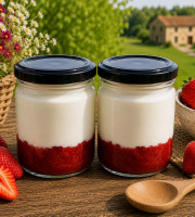 Gaec de l'Elanion - Lot de 2 Fromage Blanc Fraise