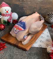 Maison Lascours - Poulet de Bresse AOP - 1,5 kg