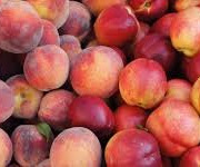 L’Oliveraie du Coudon - MIX PECHE ET NECTARINE 5KG