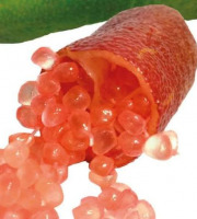 Des Poules et des Vignes à Bourgueil - Citron caviar à chair rose