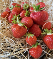Les Jardins de Gérard - Fraise Bio - 250 g