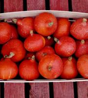 Domaine L'Hermiton - CAISSE DE POTI-FARCIES BIO
