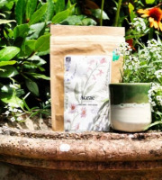 Chicorée Aceae - Chicorée Aceae Bio - Infusion 75 g