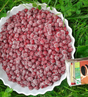 LES JARDINS DE KARINE - Groseilles rouges surgelées - 5kg
