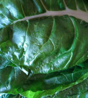 Aux Jardins des Colibris - Panier de blettes Bio