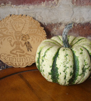 Ferme de Cernunnos - Lot de courges Patidou - 8 kg