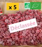 LES JARDINS DE KARINE - Framboises surgelées déclassées à cuire - 5kg
