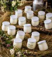 Gaec de l'Elanion - Lot 16 Yaourt Nature - 2kg