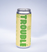 Brasserie L'Indispensable LOVEN Kombucha - Troublé Clean Soda (Citron, Bergamote, Pomme & Camomille) - 12x33cl