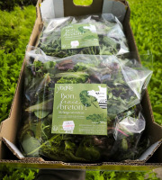 Agriloops - Mélange de jeunes pousses savoureux – 2 × 500 g
