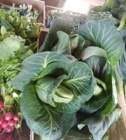 Aux Jardins des Colibris - Panier de légumes primeurs Bio "Fraicheur" Bio