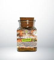 Adal Terra - Epices - Bolognaise Bio 60G