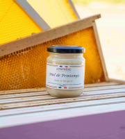 Apisphère - Miel de Printemps du Périgord 260g