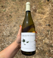 Domaine Céline Coté - Bourgogne Chardonnay 2025