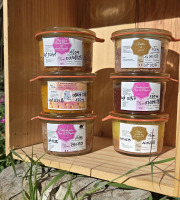 Bocal Bigourdan - OFFRE DÉCOUVERTE - 6 terrines