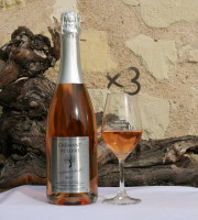 Domaine de la Chopinière du Roy - Lot de 3 bouteilles de Crémant de Loire Rosé Dry, Fines Bulles et Fruité AOP - 3x75 cl