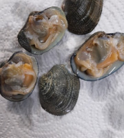 Les Huîtres Courdavault Alain & Fils - Palourdes d'élevage de nos Marais 1 Kg