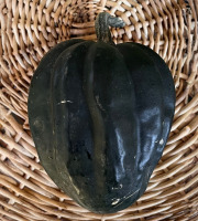 Cressonnière de Montmirault - Courge Table Queen