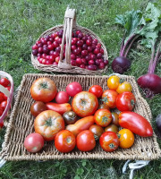 LES JARDINS DE KARINE - PANIER modulable Fruits et Légumes ROUGES