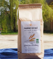 La Ferme du Relais - Farine de Blé BIO - Bise T80 12 x 1 kg