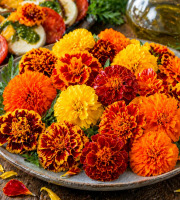 Nature et Saveurs - Ferme Aquaponique et Permacole Astérienne - Tagète Œillet d’Inde Fleurs– éclat et relief en cuisine