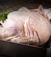 Boucherie Moderne - Dinde de Thanksgiving - 5kg