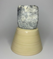 Ferme de la Limaye - Fromage de chèvre sec bleu lot de 2x 90g