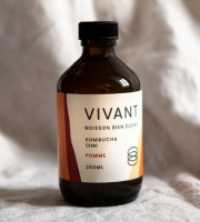 Vivant Kombucha - Kombucha Chai Pomme bio x12 (édition limitée)