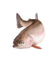 Ma poissonnière - Truite blanche portion lot de 1kg