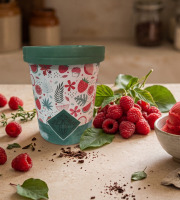 Chaloin Chocolats - Sorbet Framboises