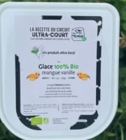 Les Glaces du Semnon - La Mémère - Glace Mangue touche de Vanille 100% Bio 2,5L