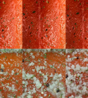 Lionel Durot - Gravlax de saumon  collection automne/hiver