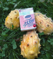 LES JARDINS DE KARINE - Kiwano/Concombre africain - 1kg