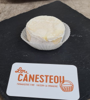 Lou Canesteou - Petit Coquin