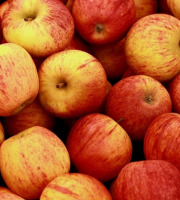 Maréchal Fraicheur - Pommes Gala - 1 kg