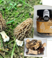L'Agricueilleur du Suzon - Morilles françaises Bio brisures