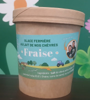 Les Pâturettes de Bodavel - Glace Fraise 480ml