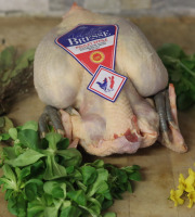 Ferme Tradi-Bresse - Poulet de Bresse AOP 2,2 kg Effilé * 6