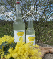 Ferme Sinsac - Pétillant  de Mimosa sans alcool en 33 cl