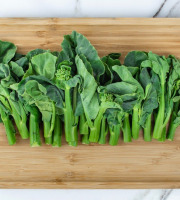 Nature et Saveurs - Ferme Aquaponique et Permacole Astérienne - Kai lan – brocoli chinois croquant et raffiné