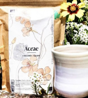 Chicorée Aceae - Chicorée Aceae Bio - Grains 250 g