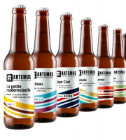 Brasserie Artemus - Coffret DIY (do it yourself) bières artisanales - pack de 12x33cl