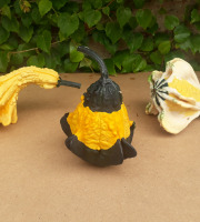 Ferme de Cernunnos - Lot de 3 coloquintes