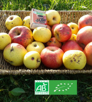 LES JARDINS DE KARINE - POMMES "visitées"-en mélange-3kg